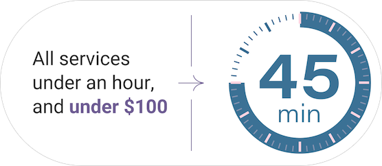 under45minutes All services under a hour and less than $100 with image of a clock showing 45 minutes time used.
